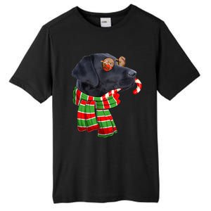 Black Lab Labrador Dog Owners Christmas Xmas Holiday Party Gift Tall Fusion ChromaSoft Performance T-Shirt