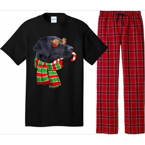 Black Lab Labrador Dog Owners Christmas Xmas Holiday Party Gift Pajama Set