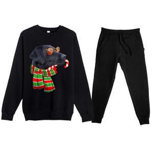 Black Lab Labrador Dog Owners Christmas Xmas Holiday Party Gift Premium Crewneck Sweatsuit Set