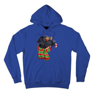 Black Lab Labrador Dog Owners Christmas Xmas Holiday Party Gift Hoodie