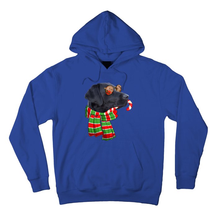 Black Lab Labrador Dog Owners Christmas Xmas Holiday Party Gift Hoodie