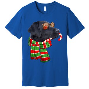 Black Lab Labrador Dog Owners Christmas Xmas Holiday Party Gift Premium T-Shirt