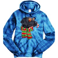 Black Lab Labrador Dog Owners Christmas Xmas Holiday Party Gift Tie Dye Hoodie