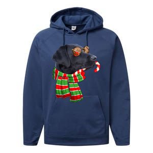 Black Lab Labrador Dog Owners Christmas Xmas Holiday Party Gift Performance Fleece Hoodie