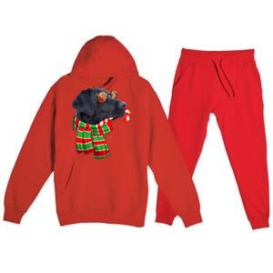 Black Lab Labrador Dog Owners Christmas Xmas Holiday Party Gift Premium Hooded Sweatsuit Set