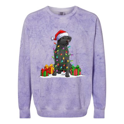 Black Lab Labrador Christmas Lights Pajama Dog Lover Xmas Colorblast Crewneck Sweatshirt