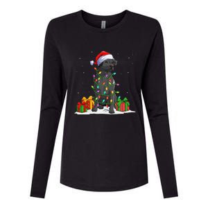 Black Lab Labrador Christmas Lights Pajama Dog Lover Xmas Womens Cotton Relaxed Long Sleeve T-Shirt