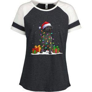 Black Lab Labrador Christmas Lights Pajama Dog Lover Xmas Enza Ladies Jersey Colorblock Tee