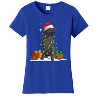 Black Lab Labrador Christmas Lights Pajama Dog Lover Xmas Women's T-Shirt