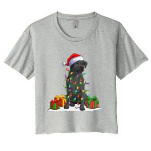 Black Lab Labrador Christmas Lights Pajama Dog Lover Xmas Women's Crop Top Tee