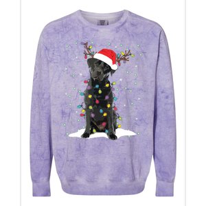 Black Lab Labrador Christmas Tree Light Pajama Dog Xmas Colorblast Crewneck Sweatshirt