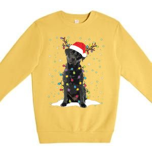 Black Lab Labrador Christmas Tree Light Pajama Dog Xmas Premium Crewneck Sweatshirt