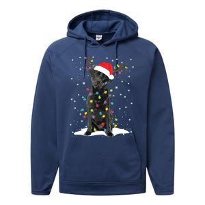 Black Lab Labrador Christmas Tree Light Pajama Dog Xmas Performance Fleece Hoodie