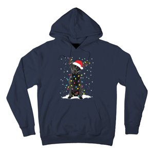 Black Lab Labrador Christmas Tree Light Pajama Dog Xmas Hoodie