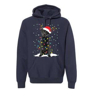 Black Lab Labrador Christmas Tree Light Pajama Dog Xmas Premium Hoodie