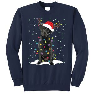 Black Lab Labrador Christmas Tree Light Pajama Dog Xmas Tall Sweatshirt