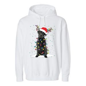 Black Lab Labrador Christmas Tree Light Pajama Dog Xmas Garment-Dyed Fleece Hoodie