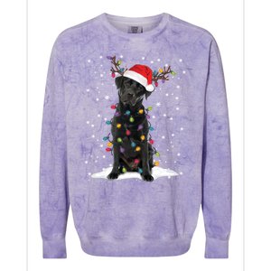 Black Lab Labrador Christmas Tree Light Pajama Dog Xmas Gift Colorblast Crewneck Sweatshirt