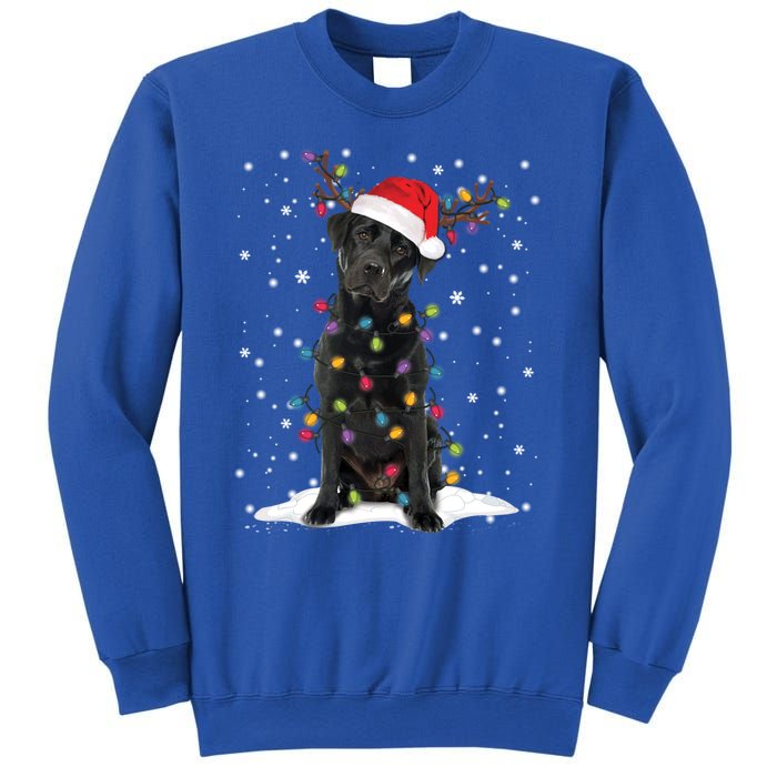 Black Lab Labrador Christmas Tree Light Pajama Dog Xmas Gift Sweatshirt