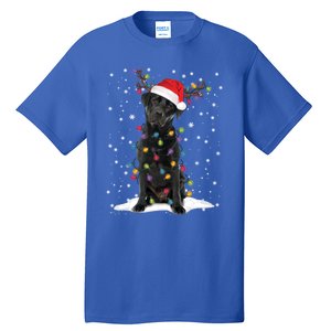 Black Lab Labrador Christmas Tree Light Pajama Dog Xmas Gift Tall T-Shirt