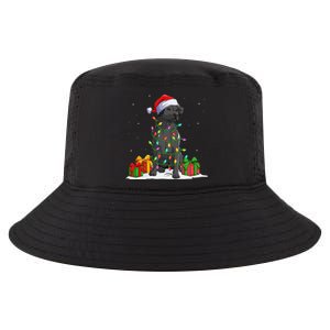 Black Lab Labrador Christmas Lights Pajama Dog Lover Xmas Cool Comfort Performance Bucket Hat