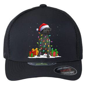 Black Lab Labrador Christmas Lights Pajama Dog Lover Xmas Flexfit Unipanel Trucker Cap