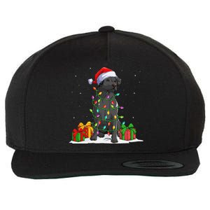 Black Lab Labrador Christmas Lights Pajama Dog Lover Xmas Wool Snapback Cap