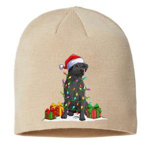 Black Lab Labrador Christmas Lights Pajama Dog Lover Xmas Sustainable Beanie