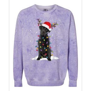 Black Lab Labrador Christmas Tree Light Pajama Dog Xmas Gift Colorblast Crewneck Sweatshirt