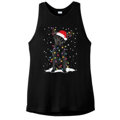 Black Lab Labrador Christmas Tree Light Pajama Dog Xmas Gift Ladies PosiCharge Tri-Blend Wicking Tank