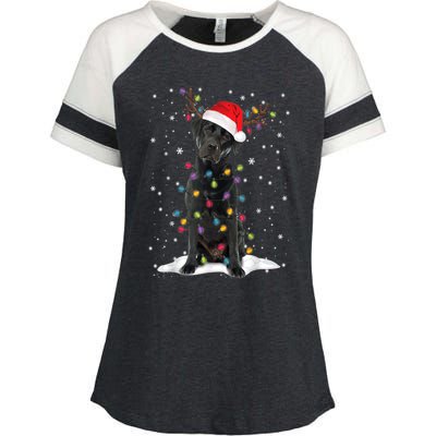 Black Lab Labrador Christmas Tree Light Pajama Dog Xmas Gift Enza Ladies Jersey Colorblock Tee