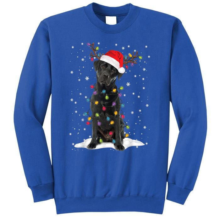 Black Lab Labrador Christmas Tree Light Pajama Dog Xmas Gift Sweatshirt