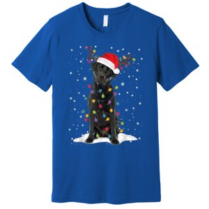 Black Lab Labrador Christmas Tree Light Pajama Dog Xmas Gift Premium T-Shirt