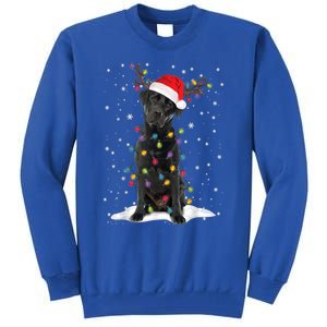 Black Lab Labrador Christmas Tree Light Pajama Dog Xmas Gift Tall Sweatshirt