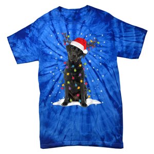 Black Lab Labrador Christmas Tree Light Pajama Dog Xmas Gift Tie-Dye T-Shirt