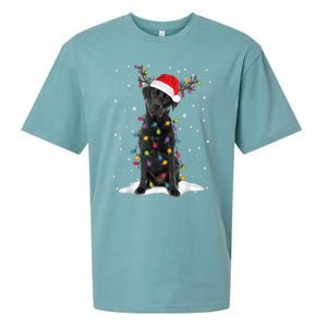 Black Lab Labrador Christmas Tree Light Pajama Dog Xmas Gift Sueded Cloud Jersey T-Shirt