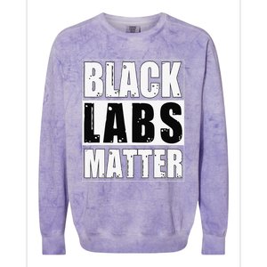 Black Labs Matter Funny Labrador Dog Lover Humor Colorblast Crewneck Sweatshirt