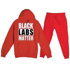 Black Labs Matter Funny Labrador Dog Lover Humor Premium Hooded Sweatsuit Set