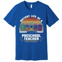 Battery Life Of A Preschool Teacher Funny Funny Gift Premium T-Shirt