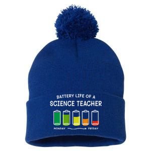 Battery Life Of A Science Teacher Professional Cool Gift Pom Pom 12in Knit Beanie