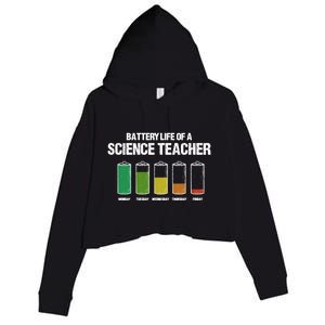 Battery Life Of A Science Teacher Pun Chemistry Teacher Joke Gift Crop Fleece Hoodie