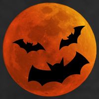 Blood Moon Adult Drive Performance Visor