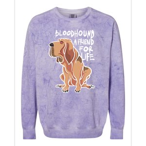 Bloodhound A Friend For Life Colorblast Crewneck Sweatshirt