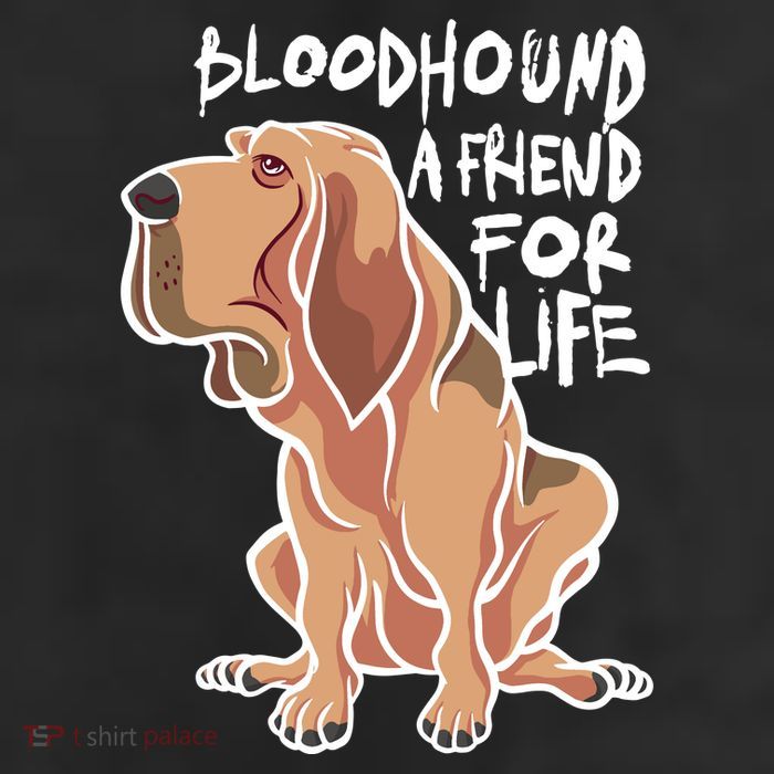 Bloodhound A Friend For Life Cool Comfort Performance Bucket Hat