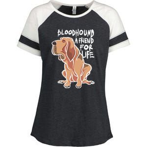 Bloodhound A Friend For Life Enza Ladies Jersey Colorblock Tee