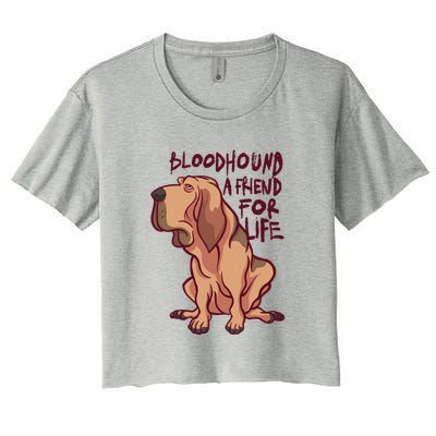 Bloodhound A Friend For Life Crop Top