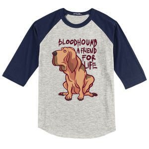 Bloodhound A Friend For Life Kids Colorblock Raglan Jersey