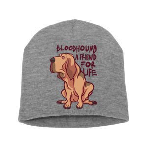 Bloodhound A Friend For Life Short Acrylic Beanie