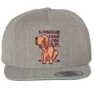 Bloodhound A Friend For Life Wool Snapback Cap