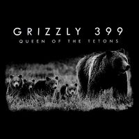 Bear Lovers Queen Of The Tetons Grizzly 399 National Park Drawstring Bag